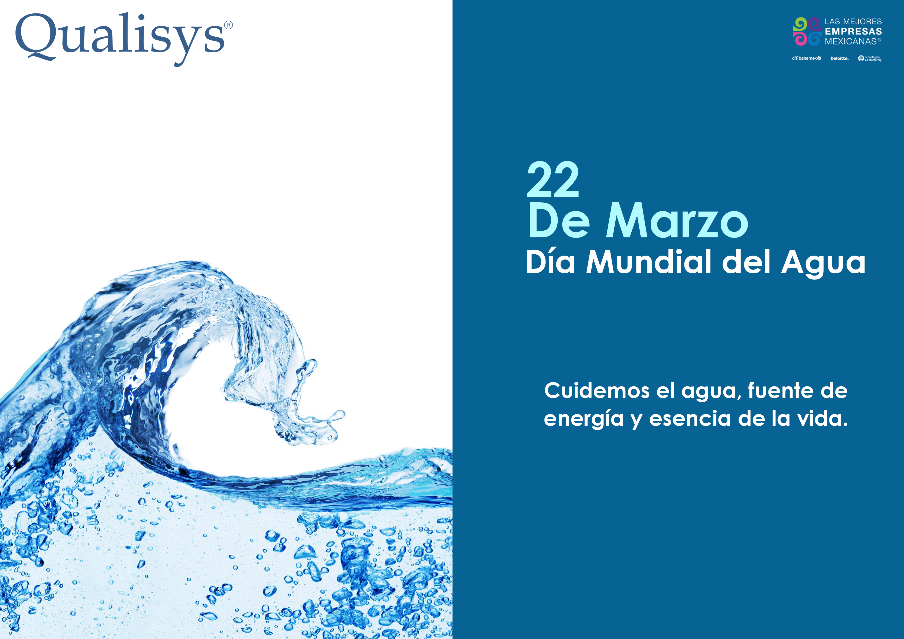 22 de Marzo Día Mundial del Agua – Qualisys